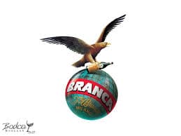 Fernet Branca